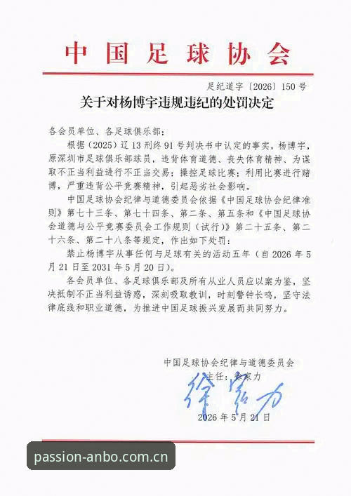 中国足协第三批禁足名单深度评测：65人受罚，行业整顿进入深水区